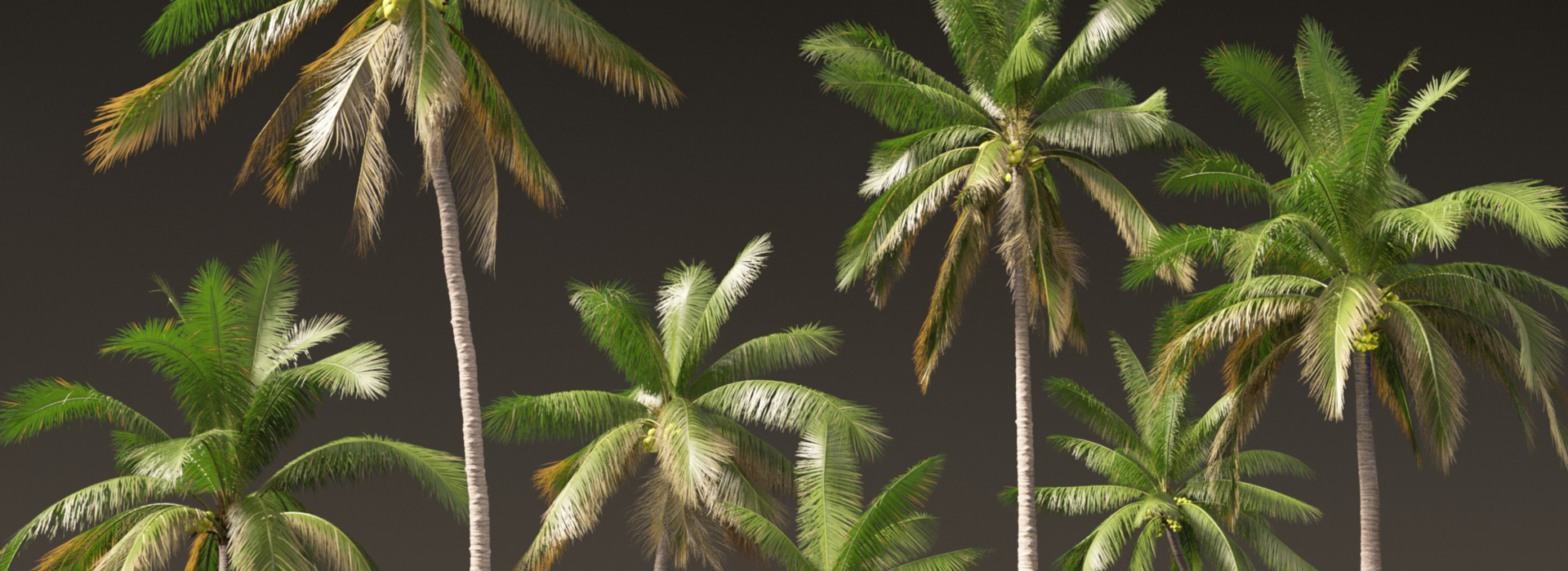 Product banner image