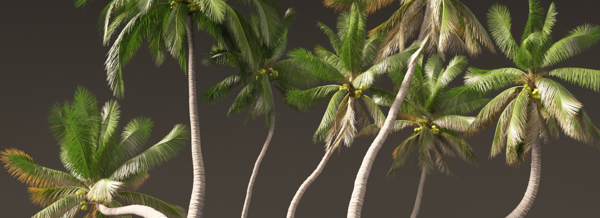 Product banner image