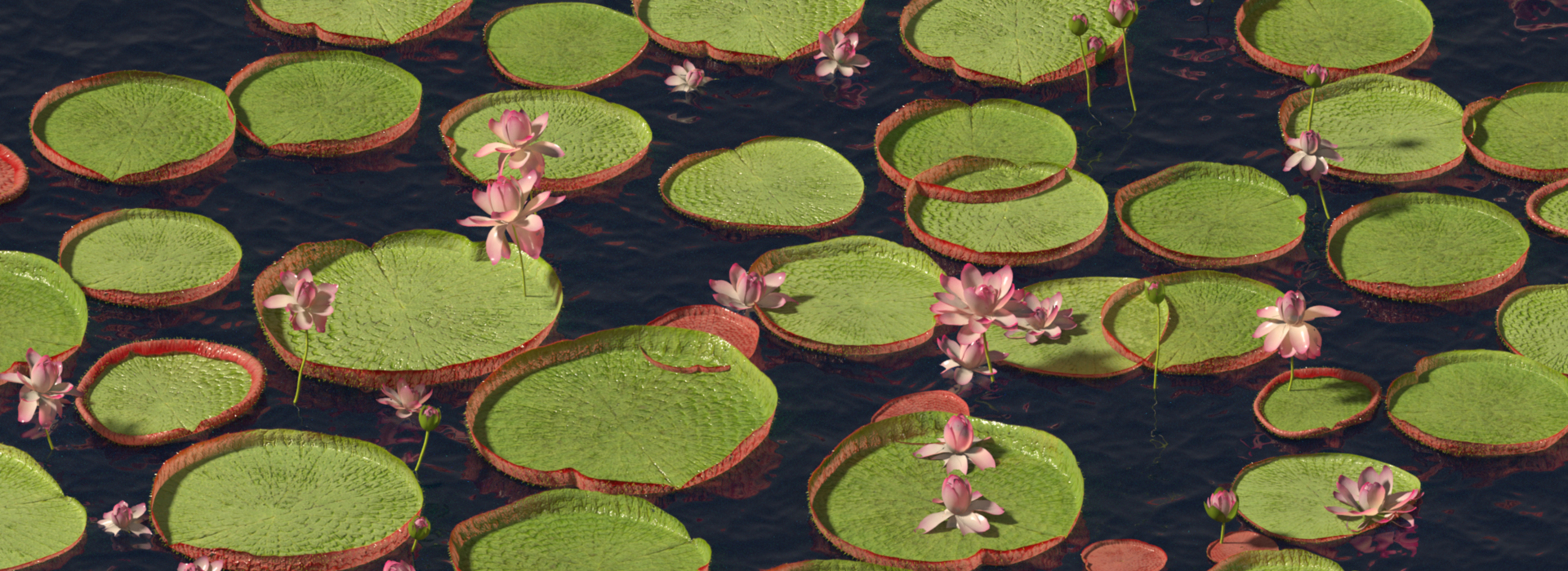 Product banner image