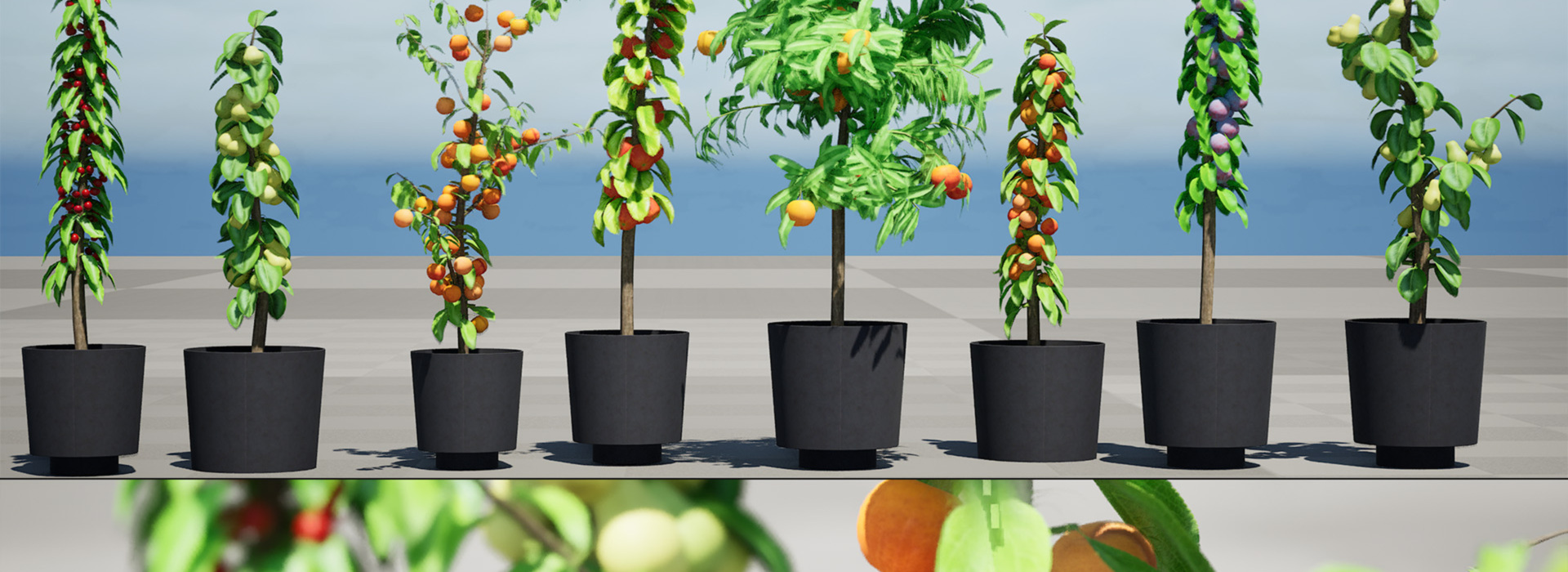 Product banner image