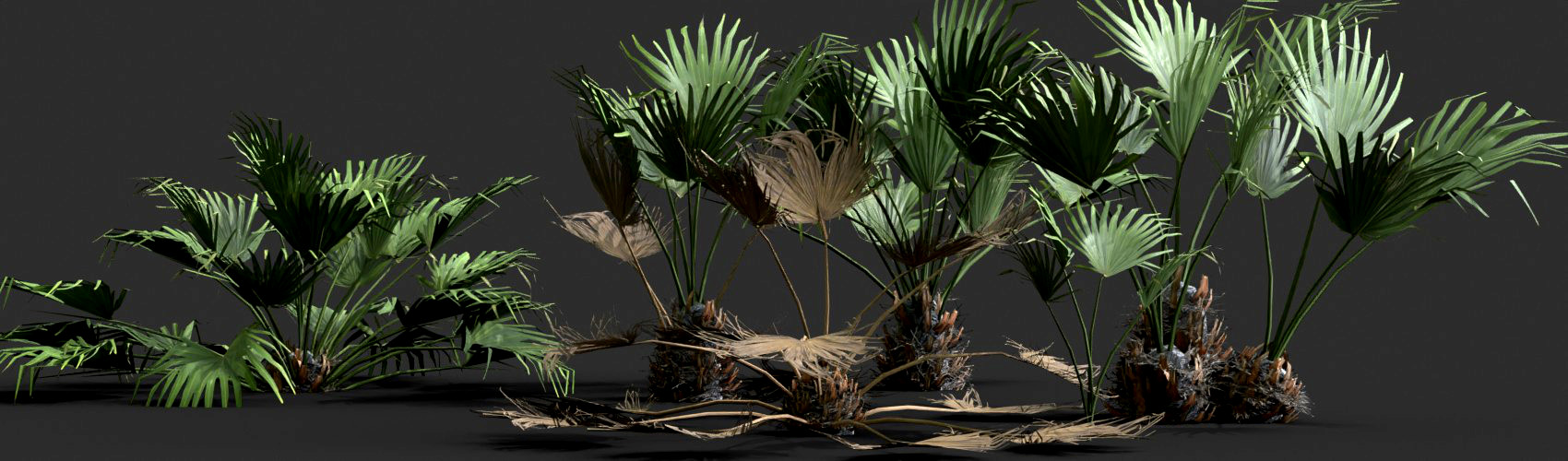 Product banner image
