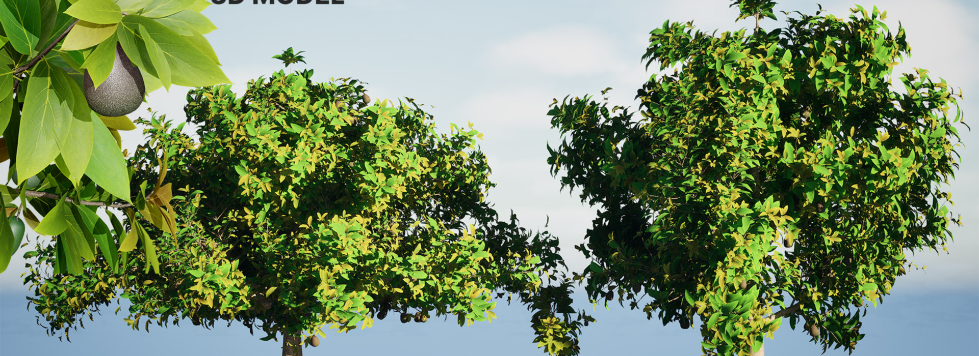 Product banner image