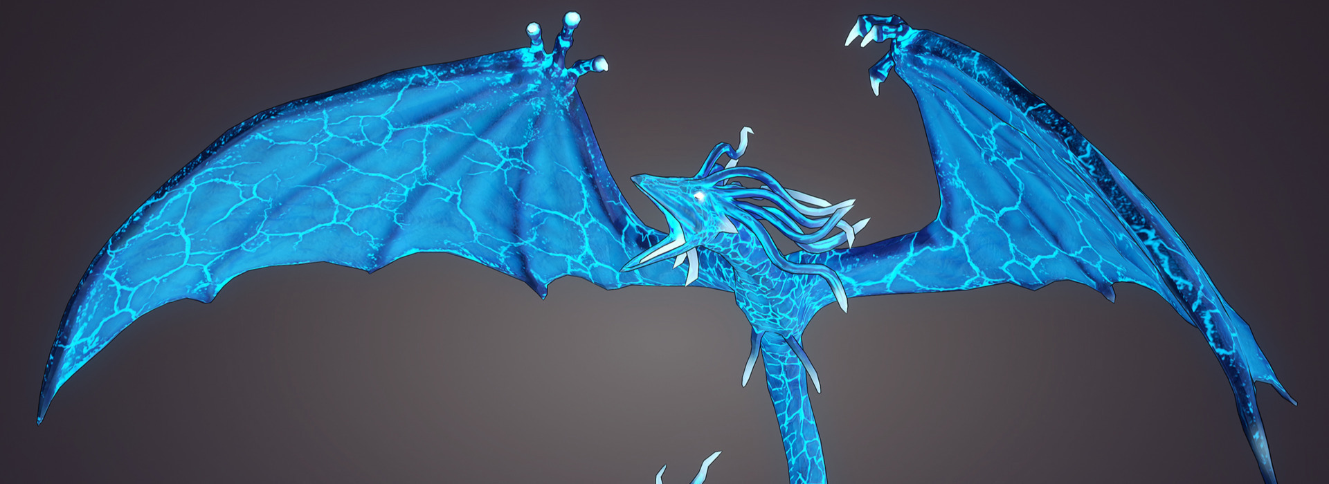 Product banner image