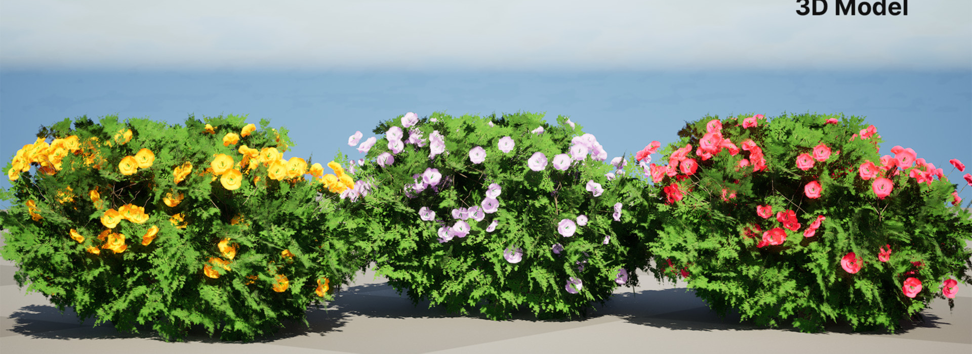 Product banner image