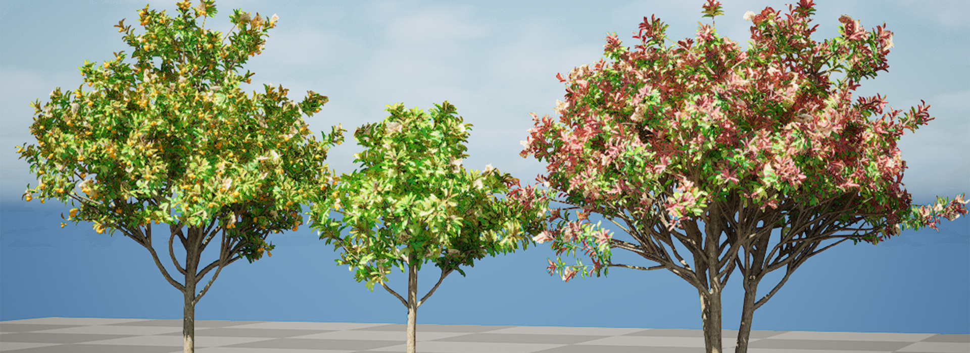 Product banner image