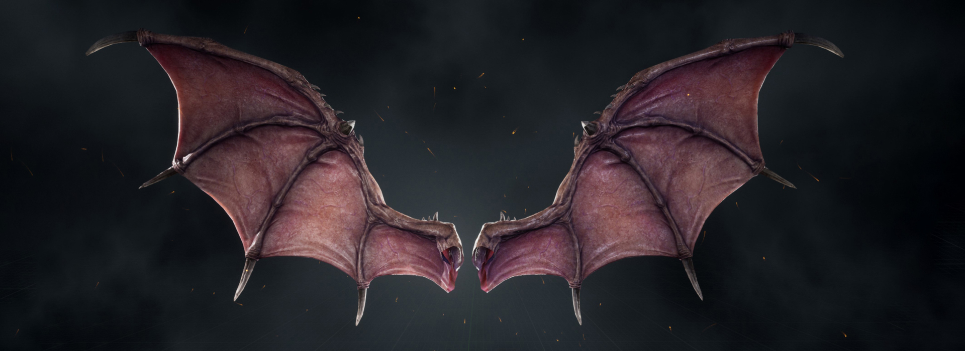 Product banner image