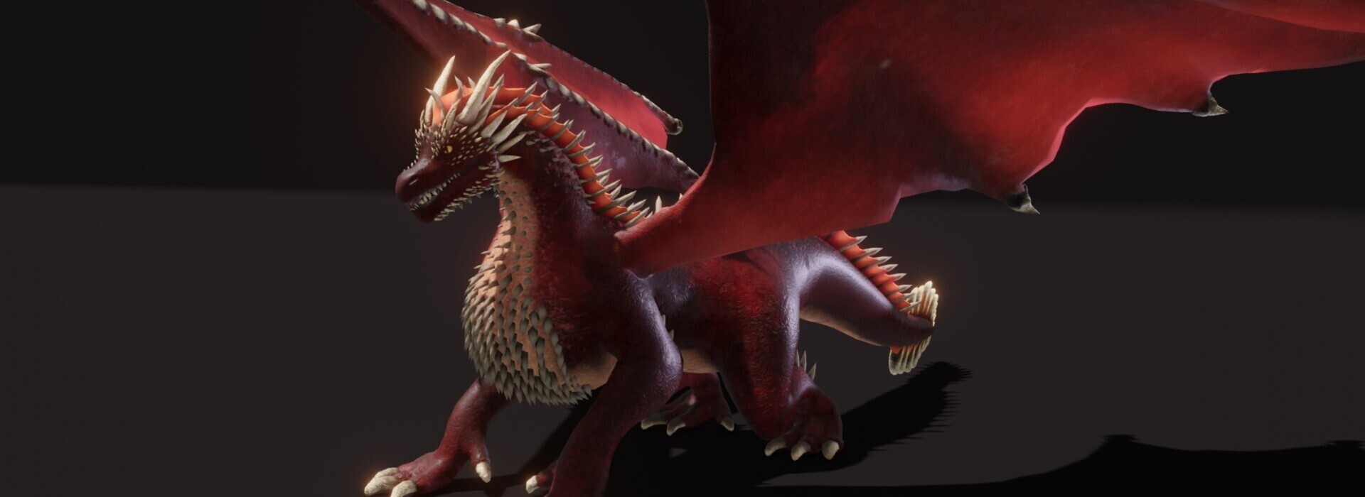 Product banner image