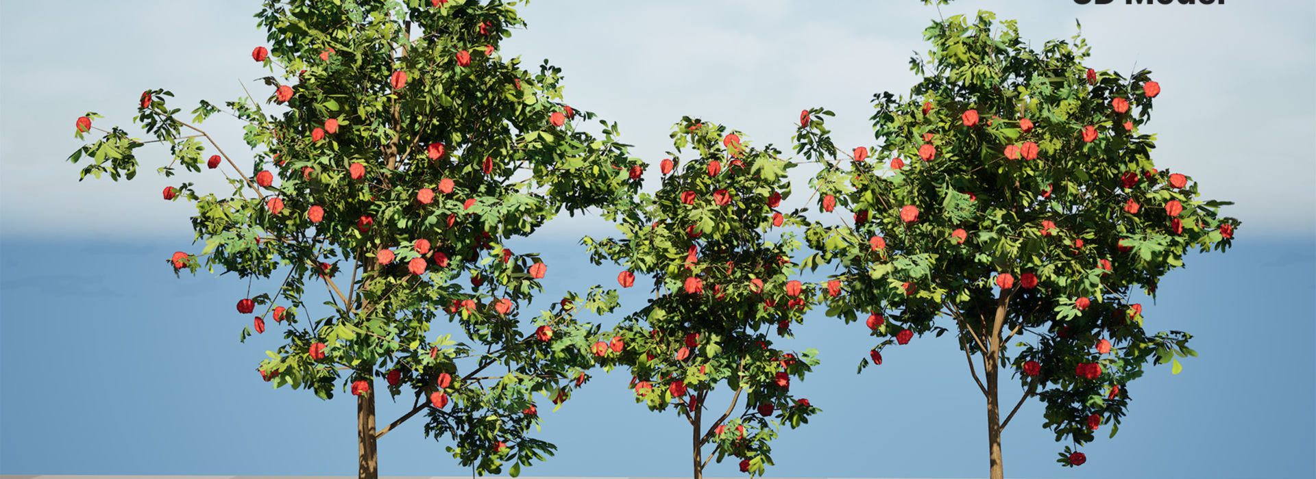 Product banner image
