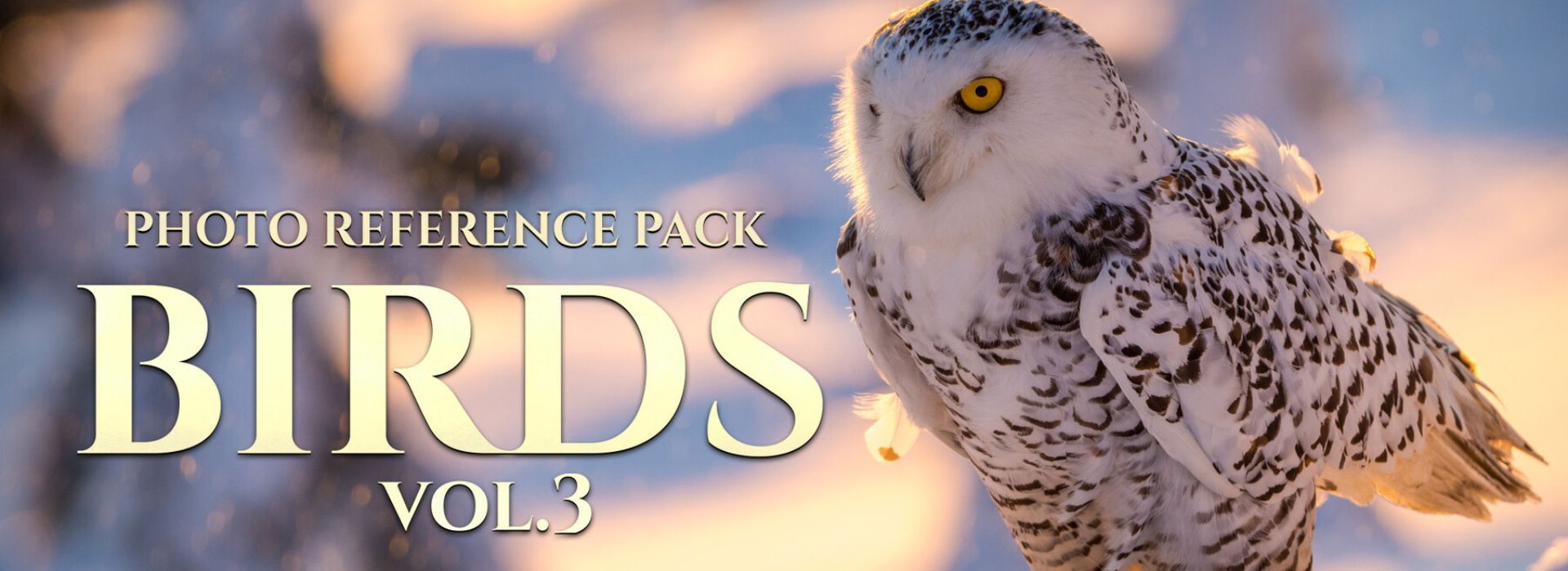 Product banner image