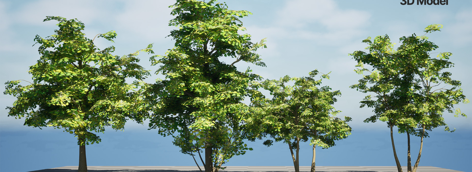 Product banner image