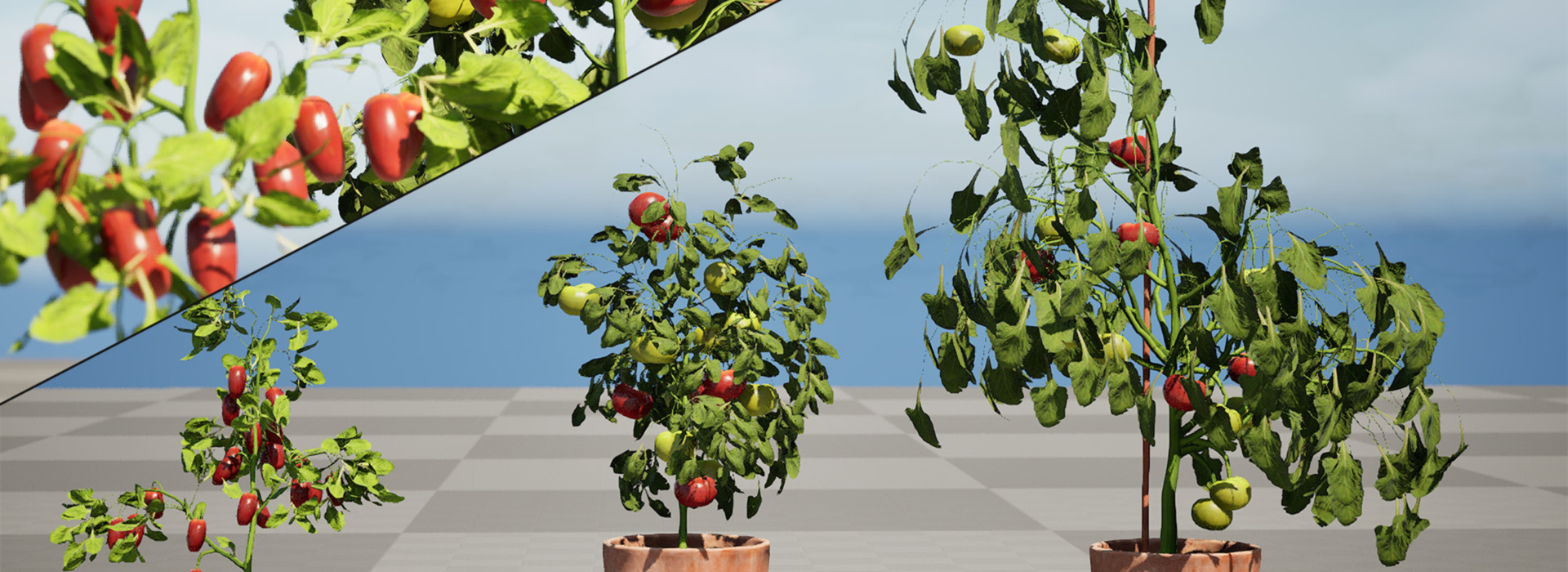 Product banner image