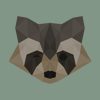 Apprentice Raccoon