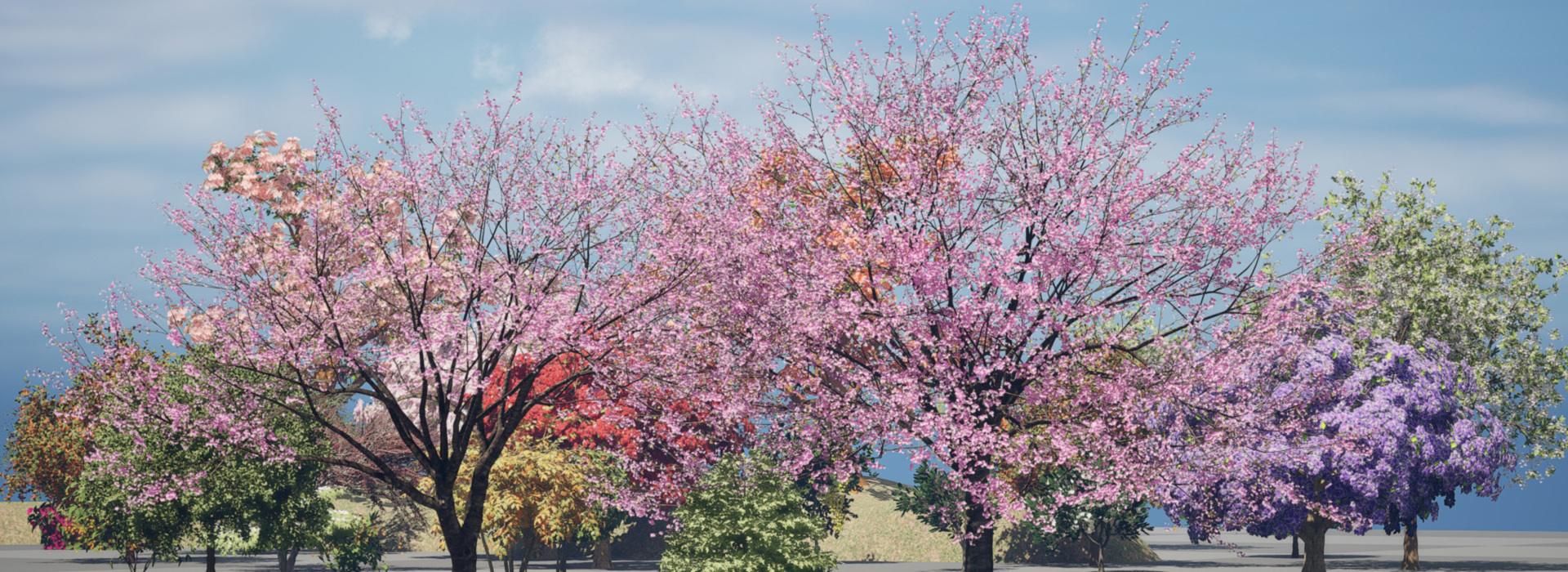 Product banner image