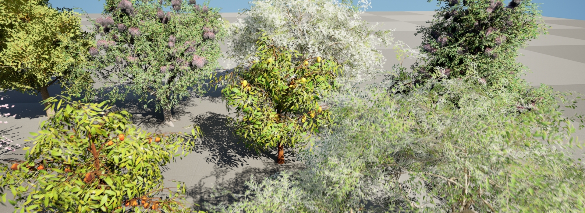 Product banner image