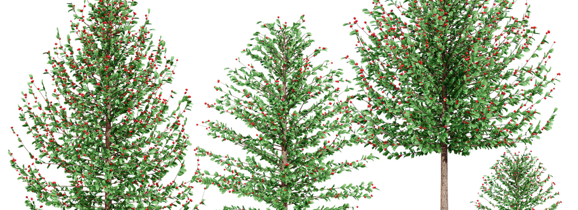 Product banner image