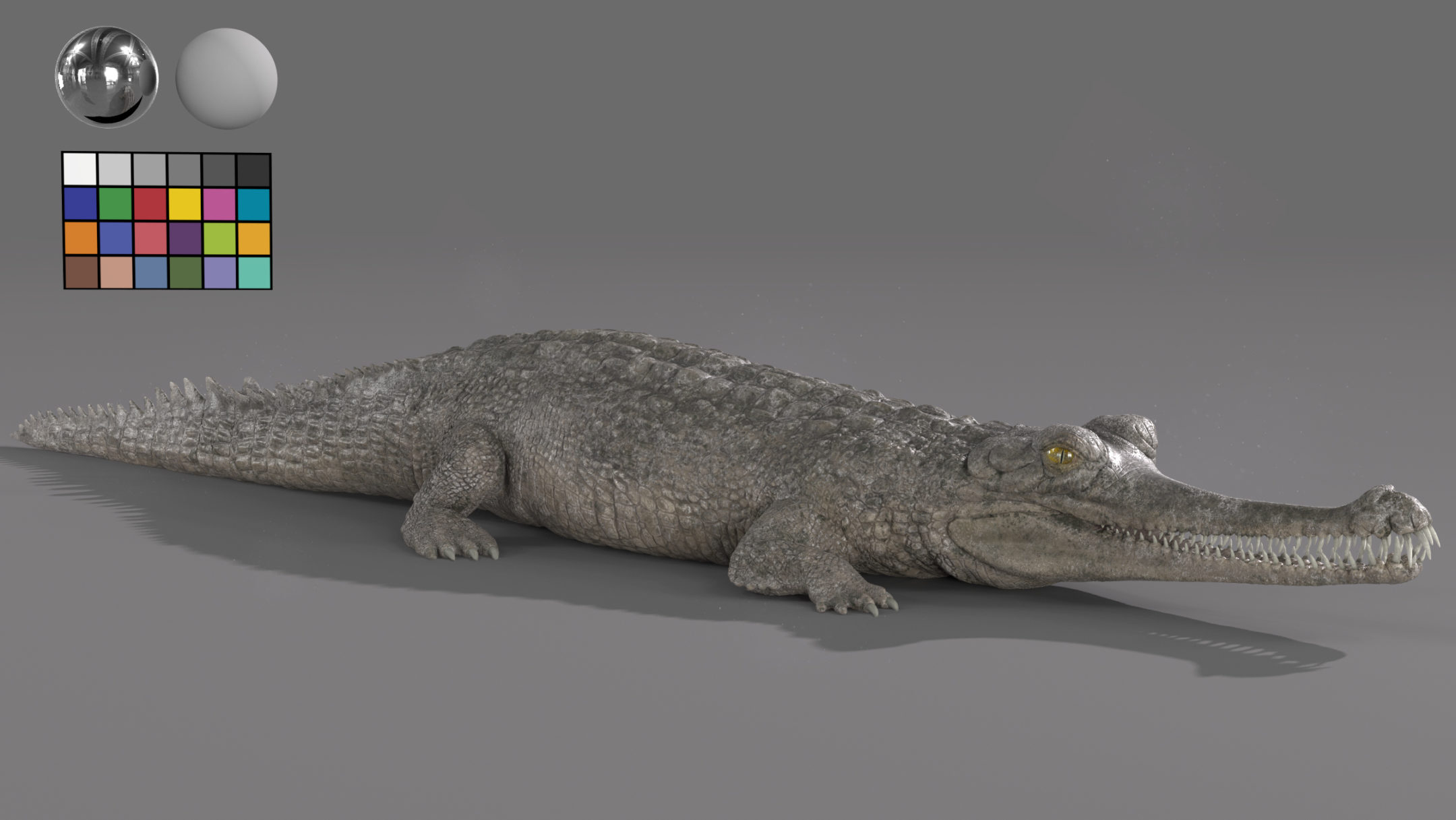 Product banner image