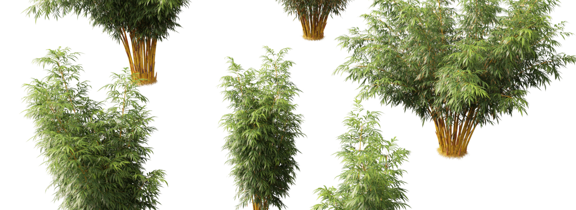 Product banner image