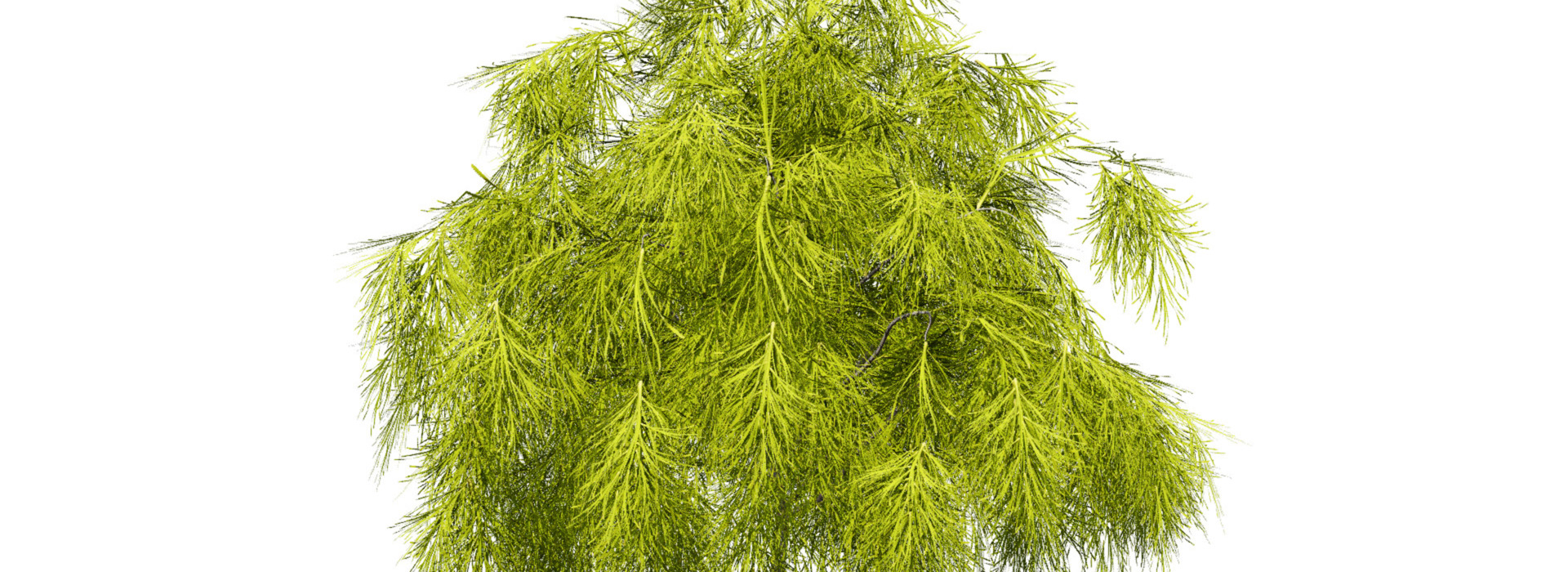 Product banner image