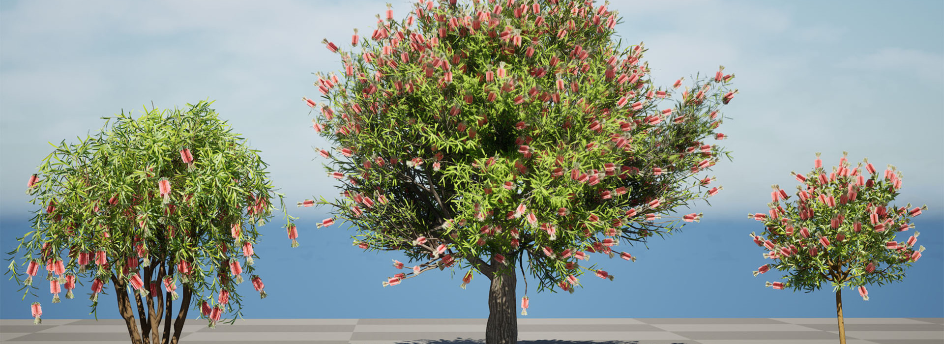 Product banner image