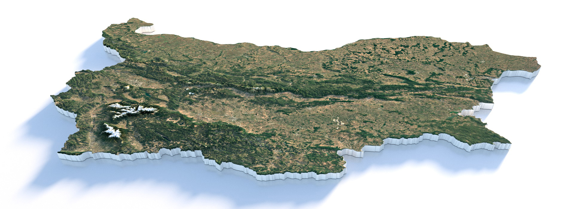 Product banner image