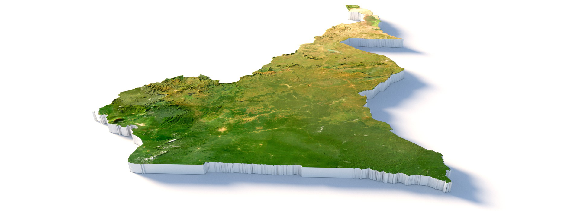 Product banner image