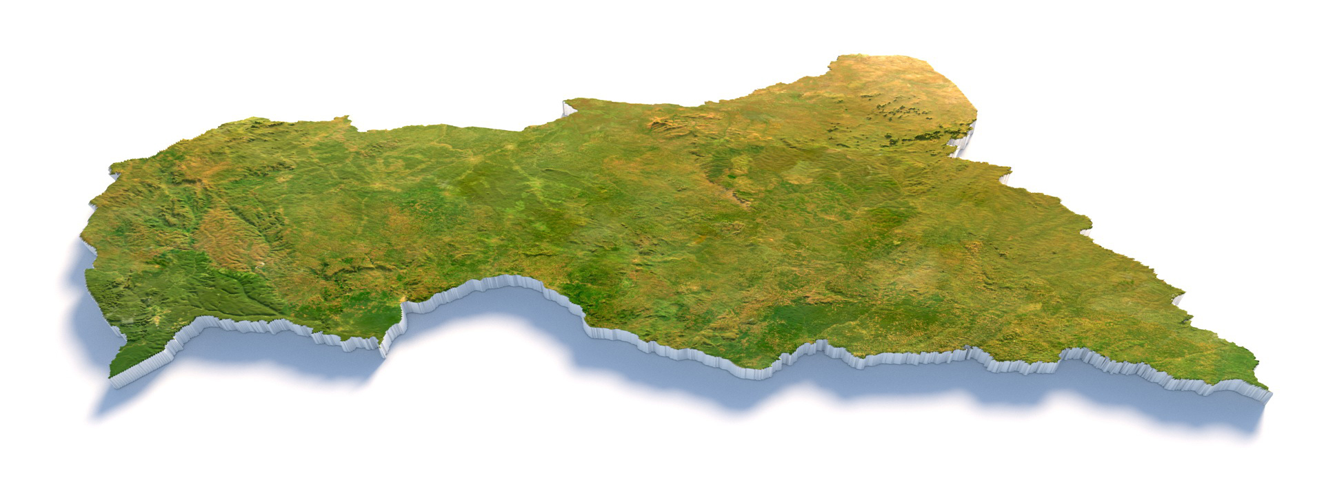 Product banner image