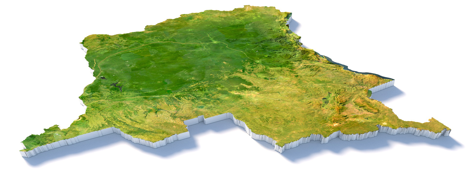 Product banner image