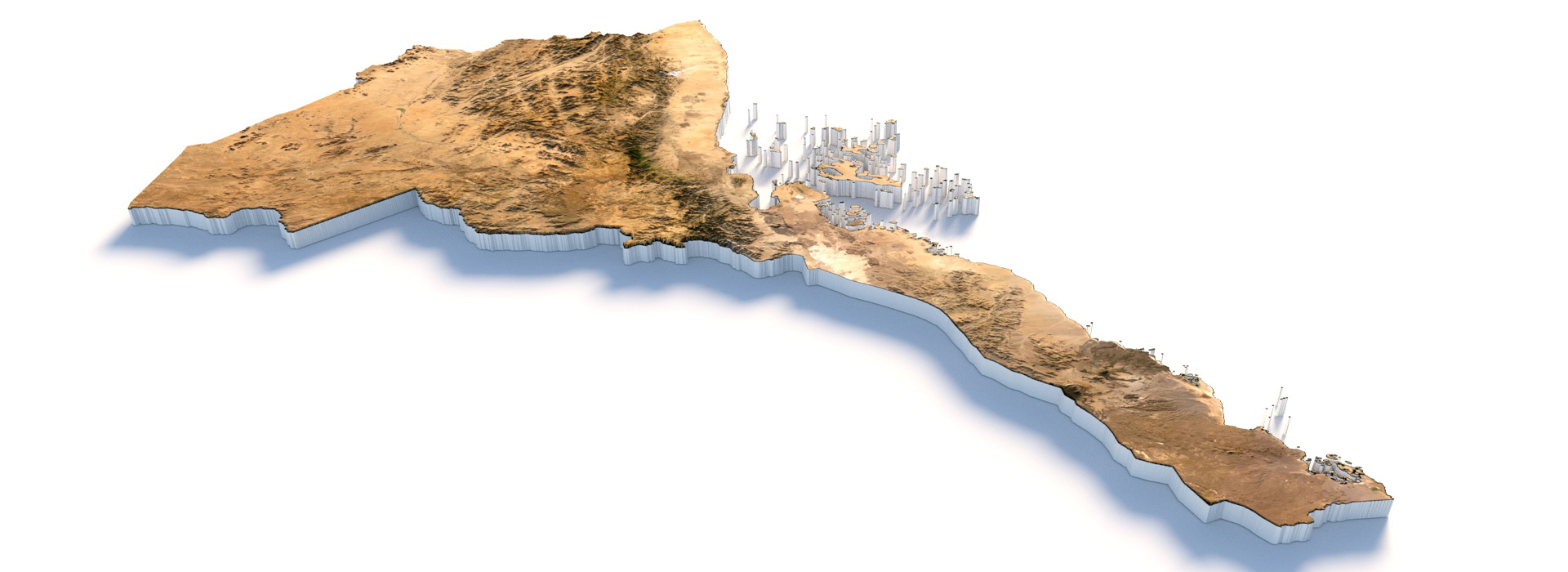 Product banner image