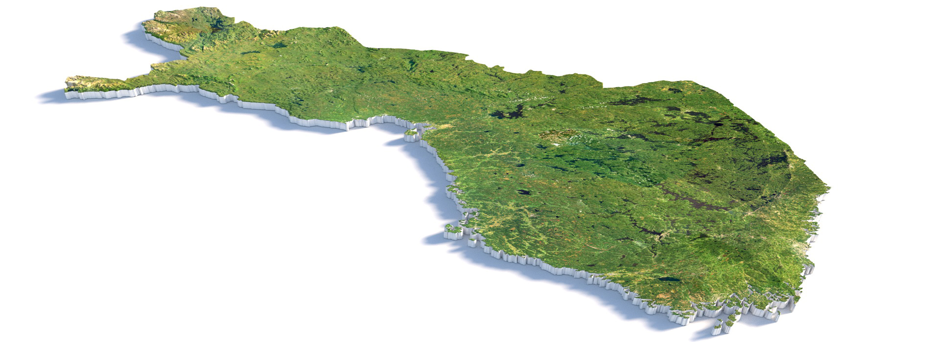 Product banner image