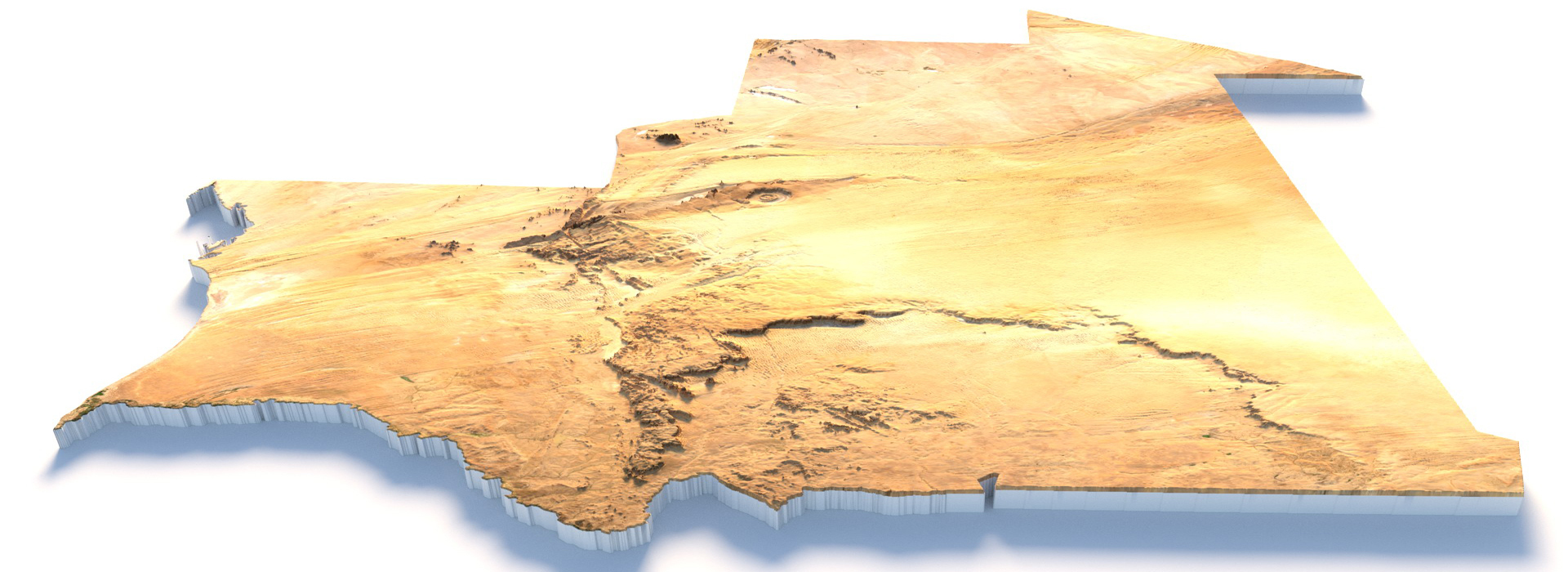 Product banner image