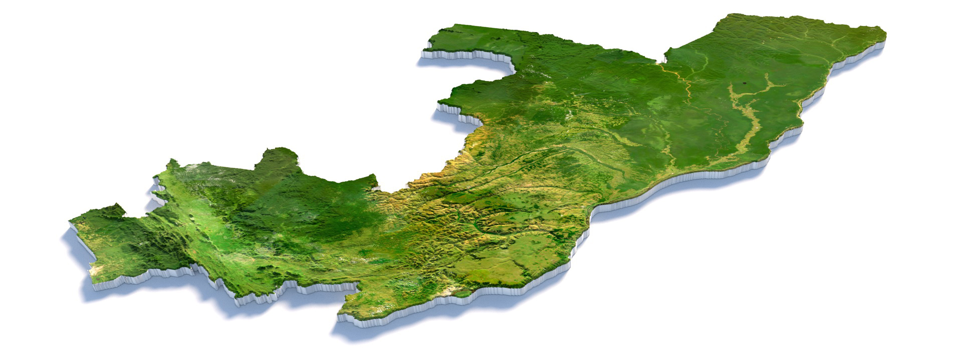 Product banner image