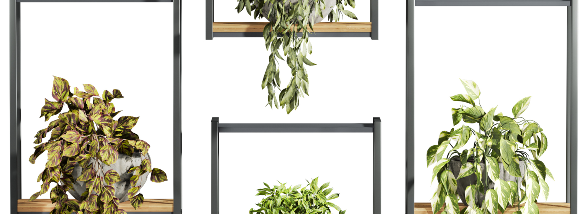 Product banner image