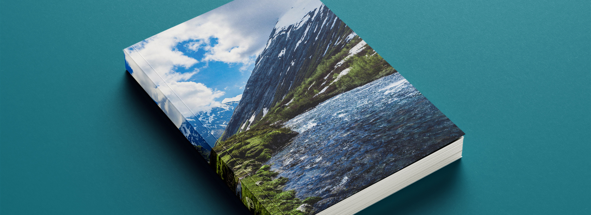 Product banner image