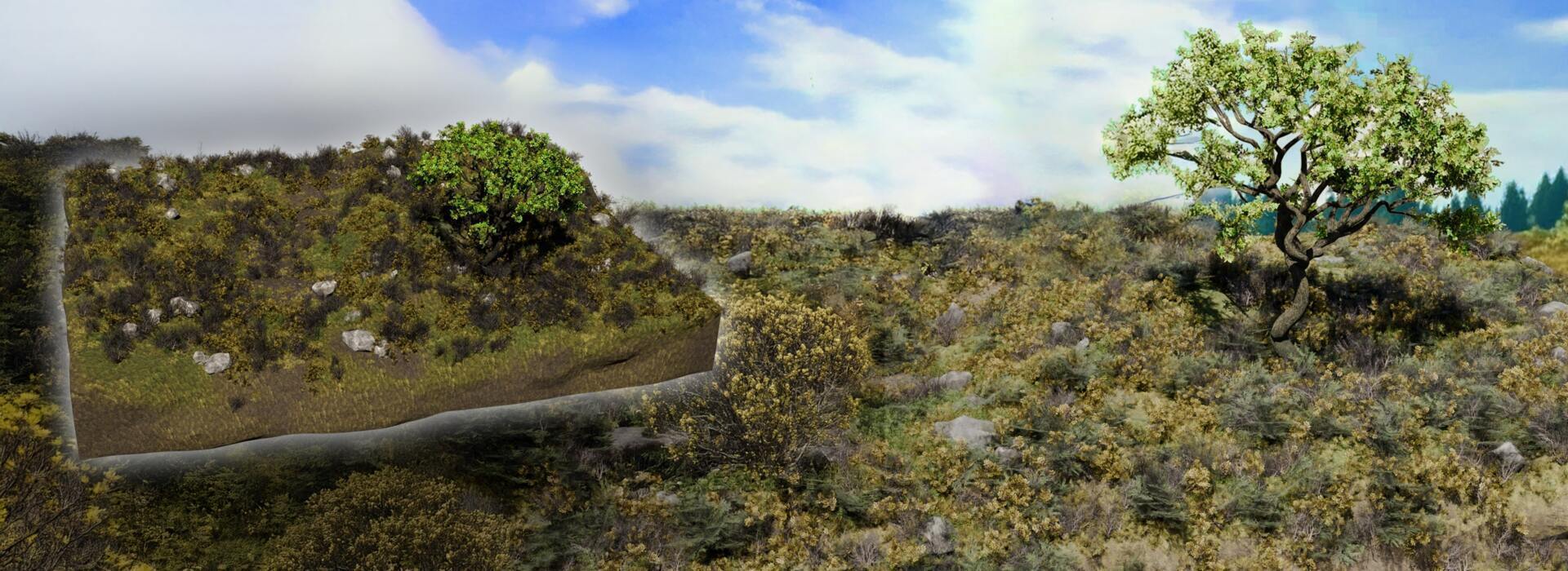 Product banner image