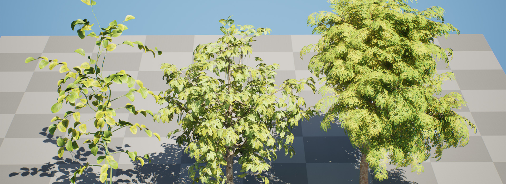 Product banner image