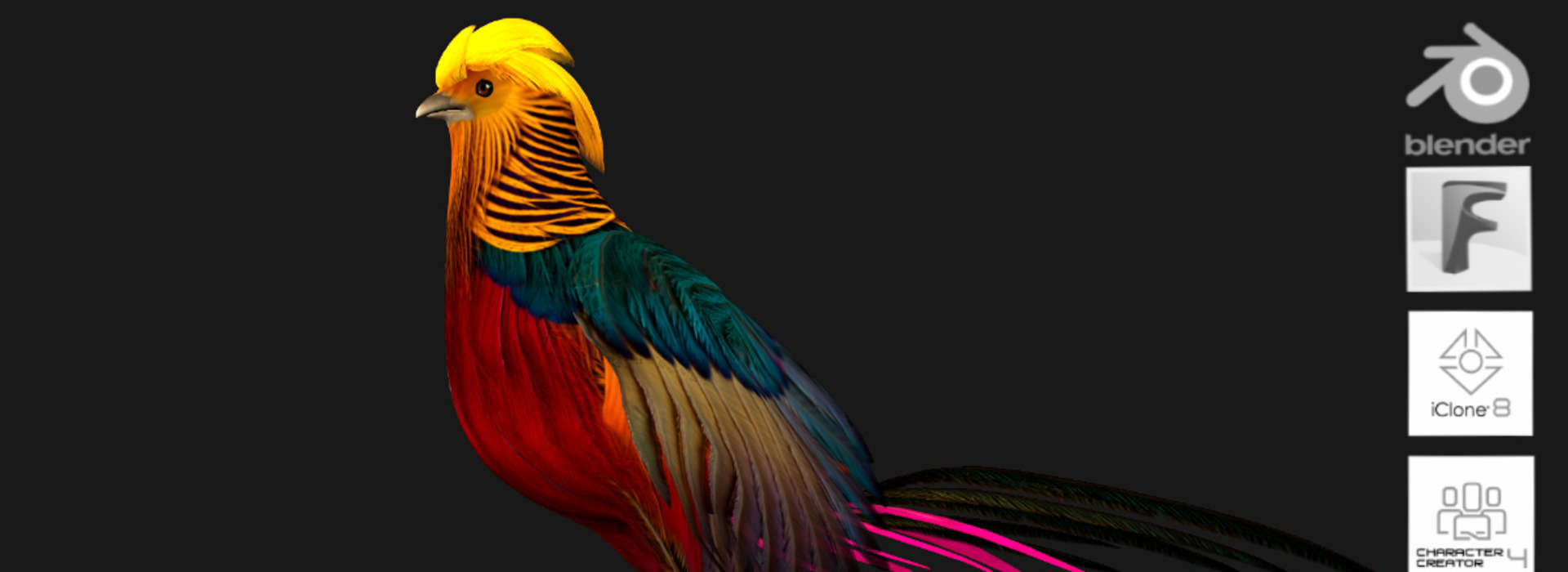 Product banner image