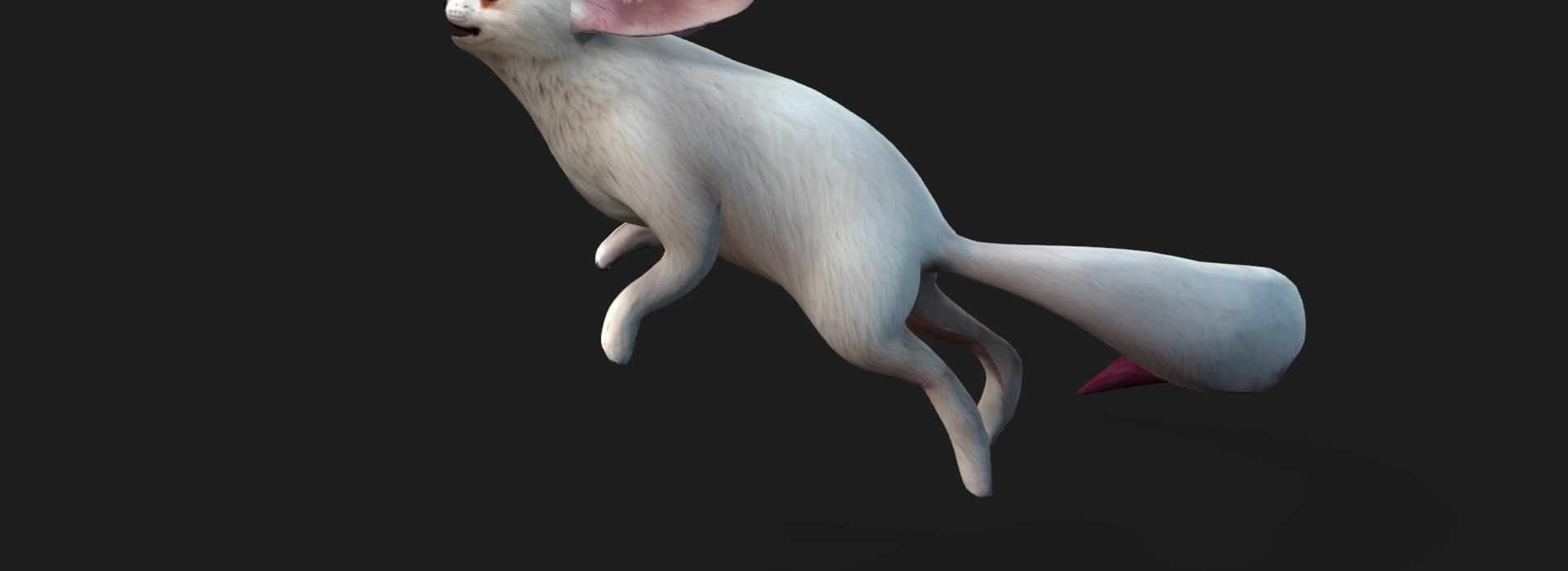 Product banner image