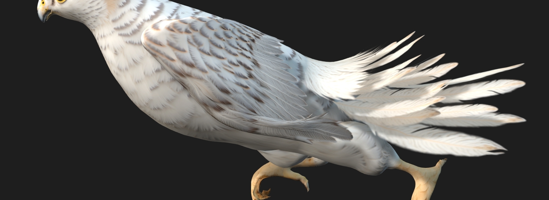 Product banner image