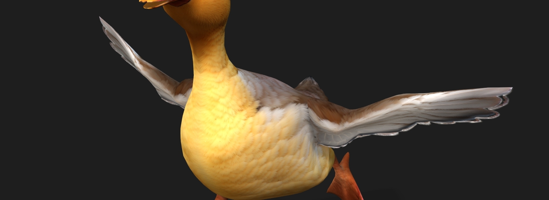 Product banner image