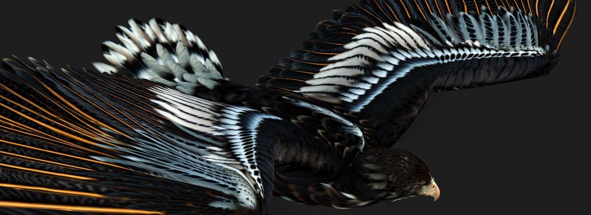 Product banner image