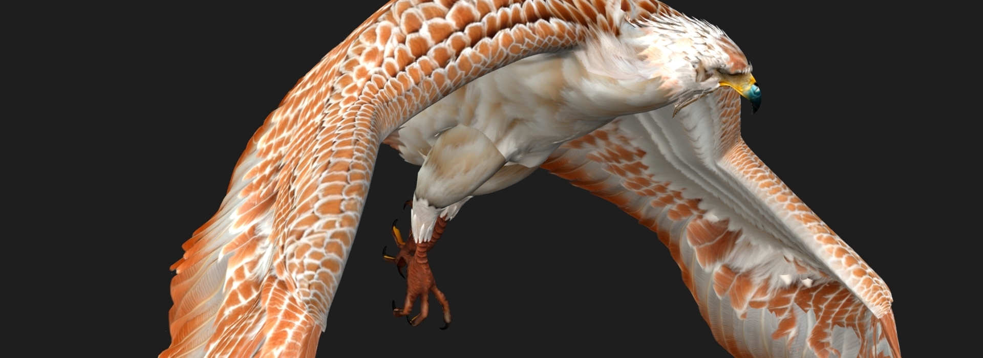 Product banner image