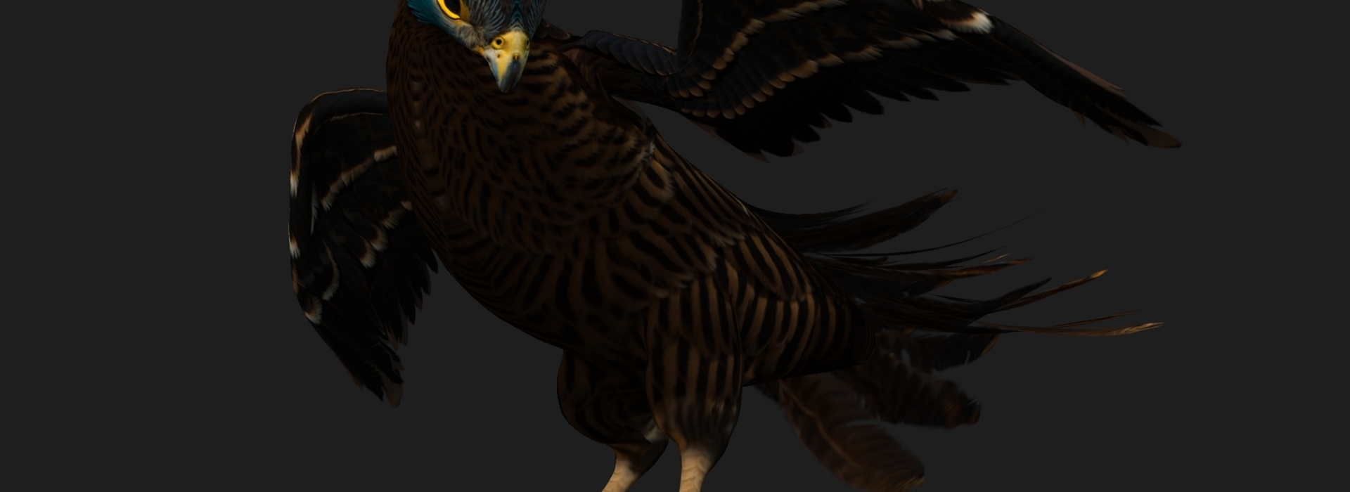 Product banner image