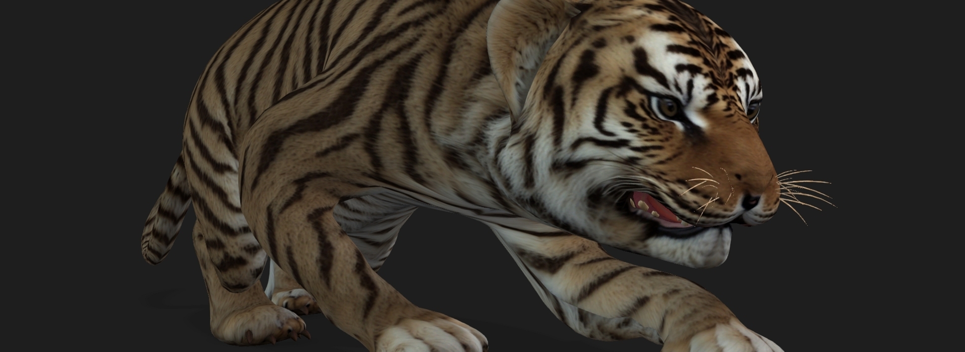 Product banner image