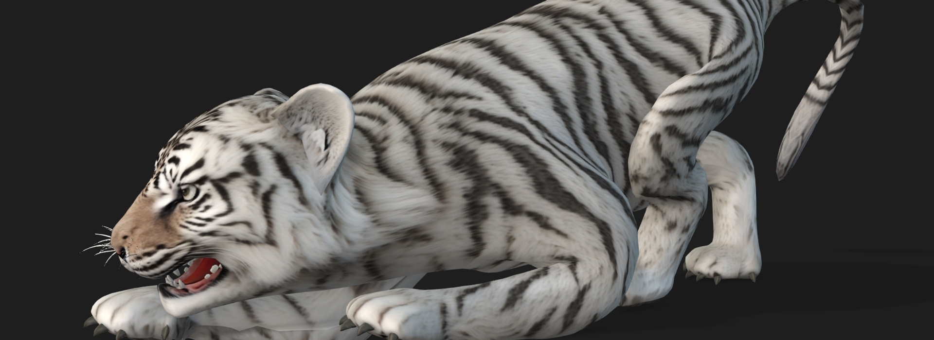 Product banner image