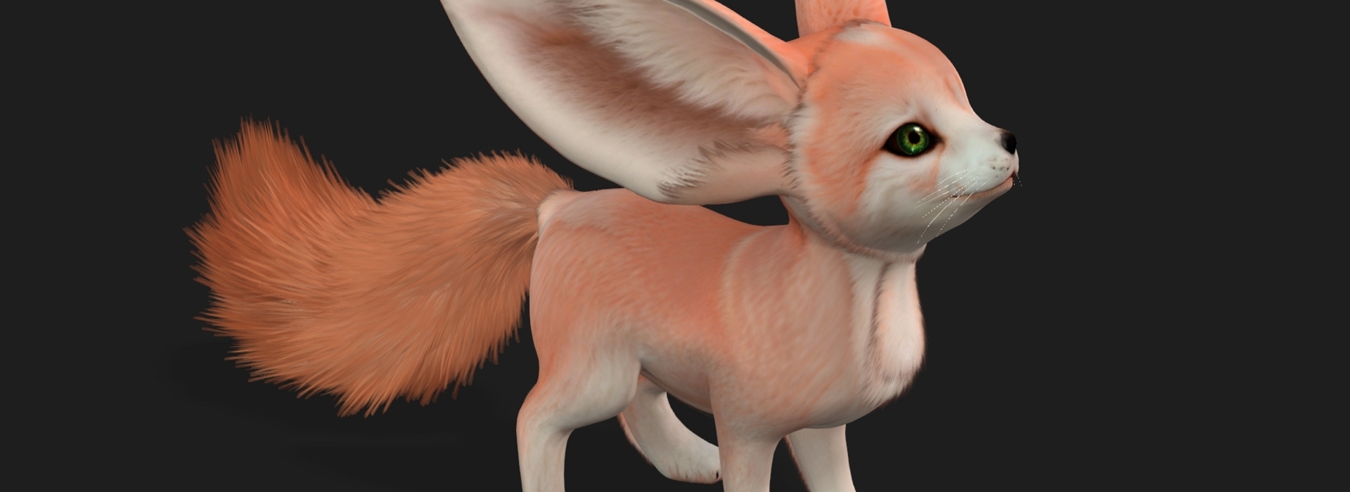 Product banner image