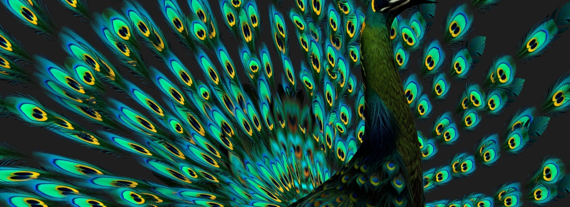 Product banner image