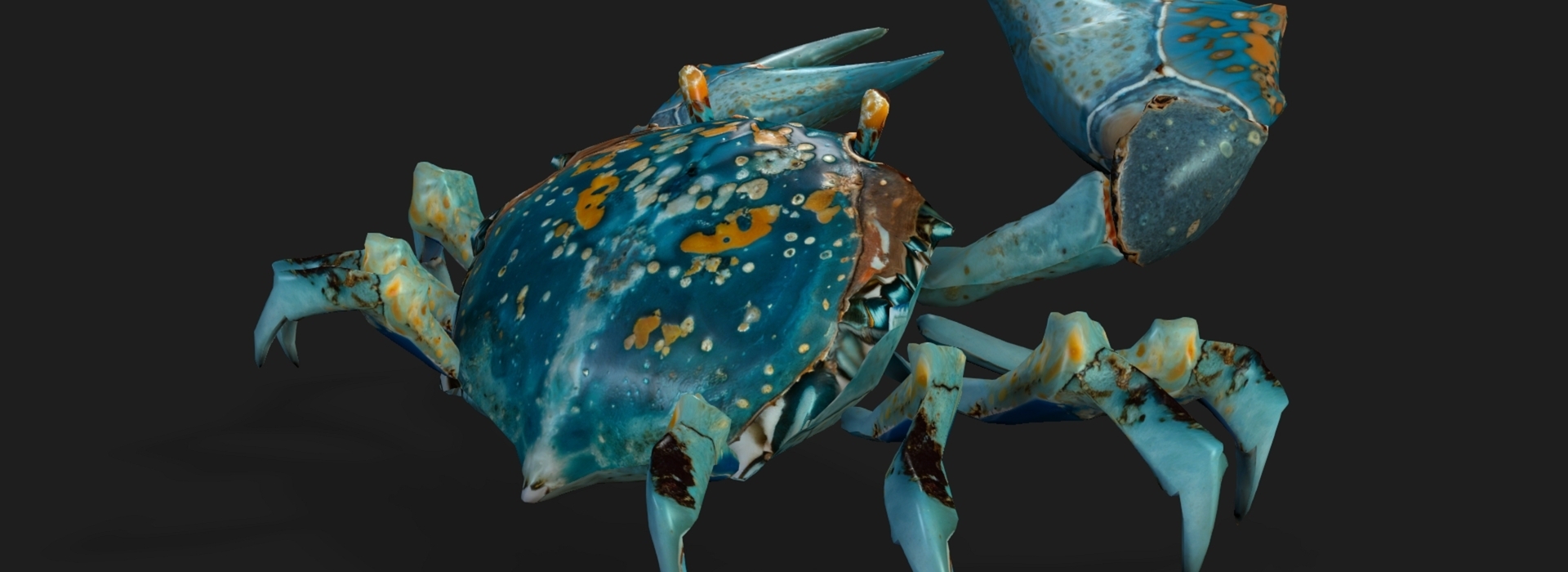 Product banner image