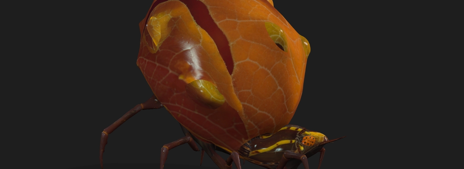 Product banner image