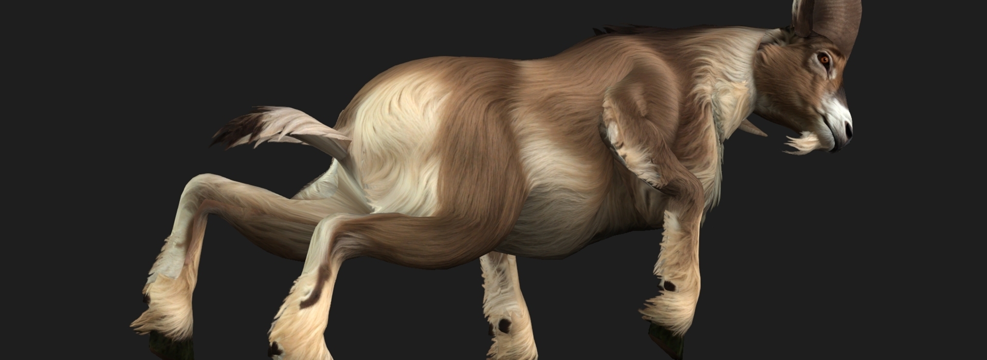 Product banner image