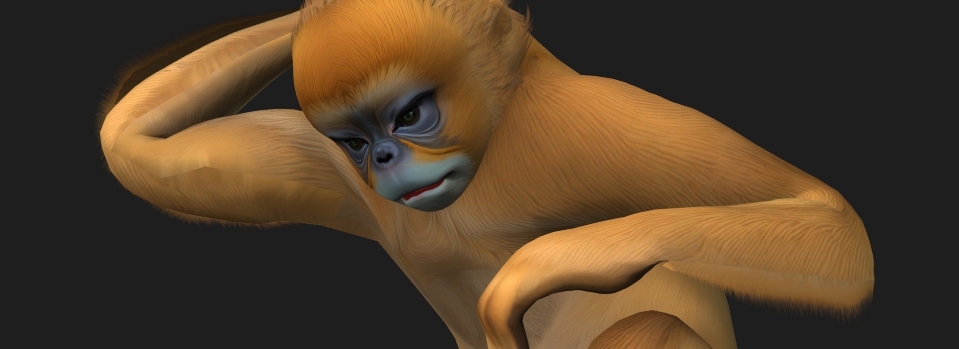 Product banner image